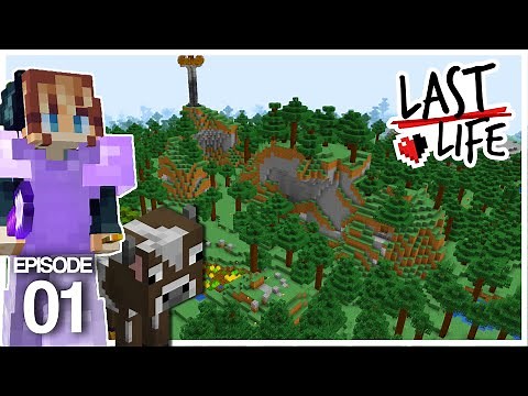 Last Life: New Hardcore Chaos Begins! | Episode 1