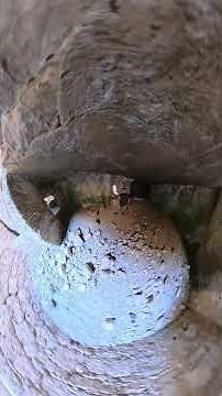 I explored the ancient sites of Kato Paphos One of the most vibrant archaeological sites in Cyprus.