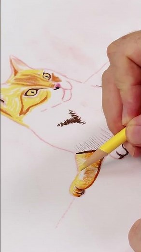 How to draw a cat with pastel pencils - full tutorial is on our channel! 😺🧡