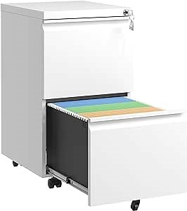 File Cabinet with Lock,Filing Cabinet 2 Drawer,Fully Assembled Under Office Desk,Lateral Locking File Cabinet with Wheels,Commercial Vertical Cabinet