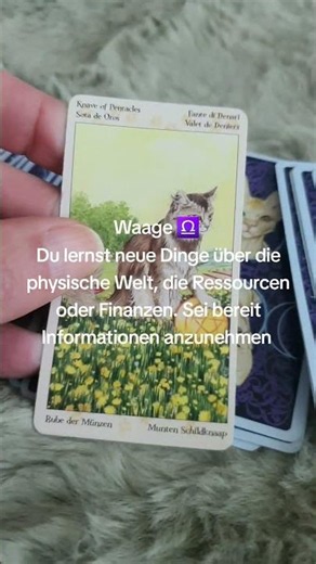 Impuls Waage ♎️ Verwendetes Kartendeck Pagan Cats Tarot von Magdelina Messina