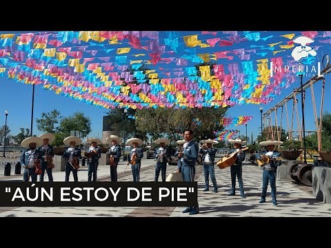 Aun Estoy de Pie - Mariachi Imperial Azteca (Video Oficial)