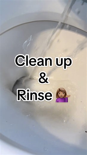 Effective Cleaning Tips: Final Cleanup with Pinalen