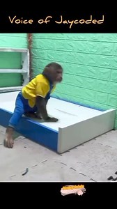 1.2M views · 37K reactions | Jay Coded on Reels | Facebook