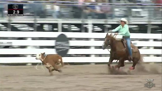 62K views · 1K reactions | Hannah Giger was the first cowgirl out at the Daddy of 'Em All to set a pace that could not be beat. Her 4.6 moves her onto the Semifinals! | CowboyChannel | Facebook