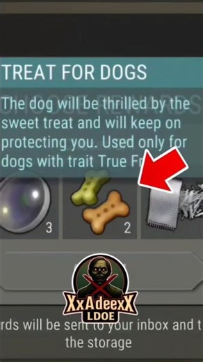 BEST CHOICE?! 🤔 Lens vs Treats vs Fiberglass | LDoE S84