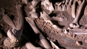 314K views · 7.3K reactions | Marty Lagina is still open to the idea that ancient astronauts visited earth some time ago, but Giorgio has no doubts at all. | Ancient Aliens | Facebook