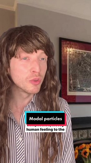 Understanding Dutch Modal Particles in Communication