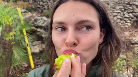 Building a wild off grid life in the Spanish mountains