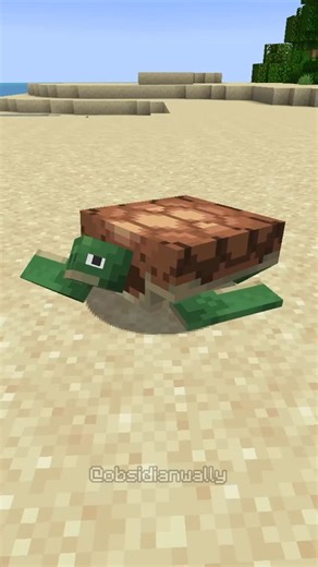 wally on Instagram: "the best turtle farm in minecraft #minecraft #minecraftmemes #minecraftbuilds"