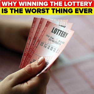 337K views · 3.1K reactions | Winning the lottery is a dream scenario for most people, but you know what they say: "Money can't buy happiness". Don't miss today's insane new video to find out exactly why more money means more problems! | The Infographics Show | Facebook