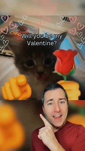 Valentine’s Day Memes | Taylor Nikolai