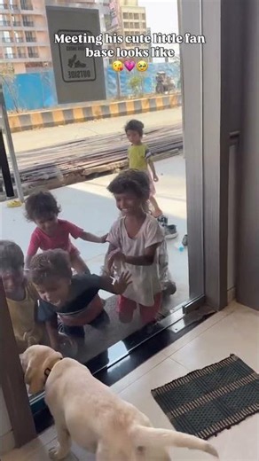 PoV : Labrador dog meeting cute little babies 🥰❤️ #dog #retreiver #labrador
