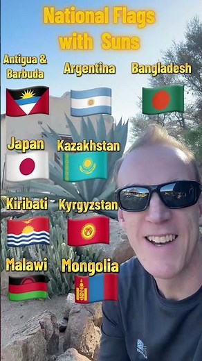 NATIONAL FLAGS with SUNS #kopete #flags #flagsofcountries