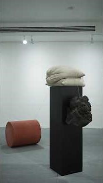 Jose Dávila "Las piedras saben dormir"