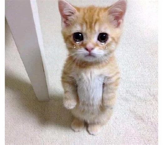 Struggling with Physics Exam? Get Essential Tips!