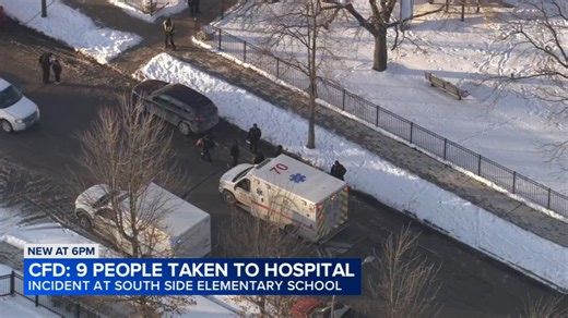 9 children hospitalized after pepper spray discharged at Grand Crossing Elementary School: officials