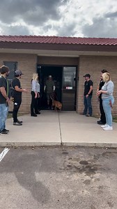 16K views · 946 reactions | Happy Gotcha Day to Moose! Moose has been patiently waiting for his forever home for 435 days and today is the day he gets his happily ever after! 梁❤️ This is why we do what we do, every life matters. ❤️ If you would like to make a difference, please call, pm or email us! 520-509-3555 Animalrescue@pinal.gov1150 11 Mile Corner, Casa Grande, AZ, 85194 | Pinal County Animal Care and Control | Facebook