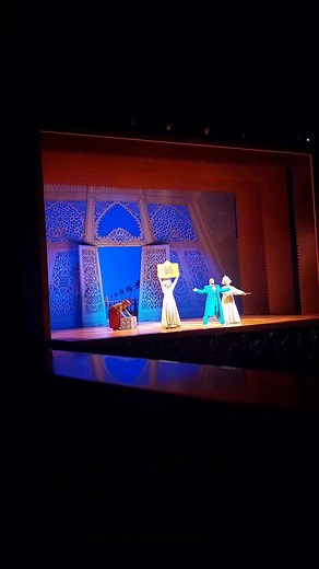 deel 3 van 'Prins Ali' uit Aladdin de Musical!! #nederlands #musical #aladdindemusical #aladdin #fy #foryoupage #fyp