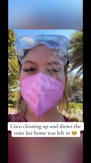 Coco's Home Cleanup Journey: A Heartfelt Insight