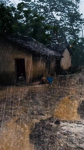 Sleep with gentle rain sounds for calm sleep. #rainfall #calmingsounds #rainstorm #relaxingrain #rainysounds #relaxationmusic #meditationmusic #rainforsleeping #peacefulnight #rainnoise #sleepmusic #sleepbetter #heavyraindrops | Zillyal Erydr