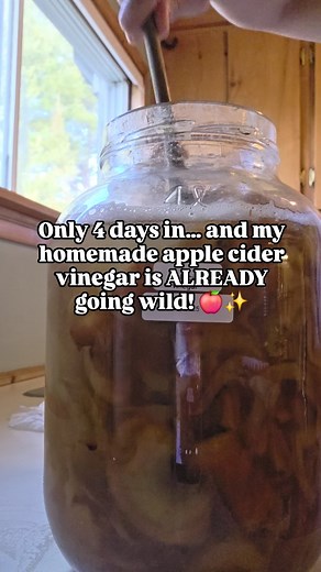 Checking in on my apple cider vinegar made from local apples — and WOW. Just four days of fermentation and it’s bubbling like crazy! It's already transforming beautifully. If you’ve ever wondered how real, raw ACV looks during the early ferment, here’s your peek. Nature always delivers. 🍏⚡ Want a step-by-step tutorial or the full recipe? 👉 Drop a “VINEGAR” in the comments! 👉 Save this reel to track the fermentation process with me! #AppleCiderVinegar #ACV #FermentationJourney #FermentingAtHom