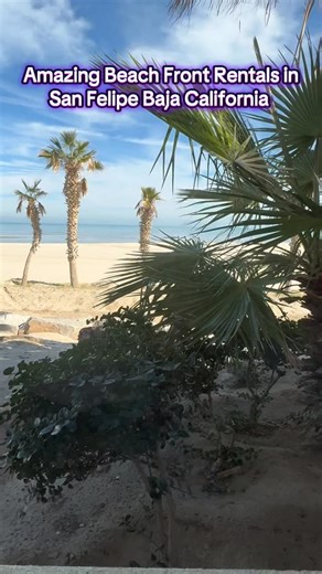 MySanFelipeVacation on Instagram: "See what it’s like to vacation in San Felipe — then come live it. From beachfront homes to unforgettable memories, we’ve got the perfect stay waiting for you. 📍 Book your next escape with us! 📲 WhatsApp: +52 686 187 2399 🌐 Visit: mysanfelipevacation #StayInSanFelipe #VacationTheRightWay #BeachfrontLiving"