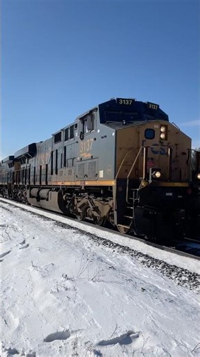 CSX I008 Intermodal Train from Berea, Ohio 1/18/2026 #csx #train #railroad #shorts #berea #csxt #ns