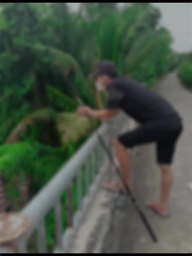 Video của Nguyen Dat (@nguyendat5042) với bản nhạc nhạc nền - Nguyen Dat