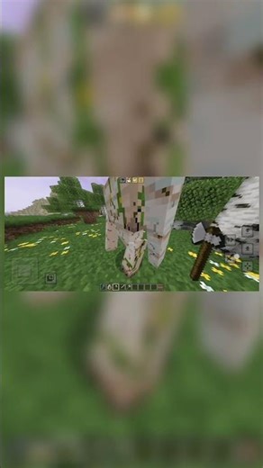 Java combat on mcpe Minecraft.