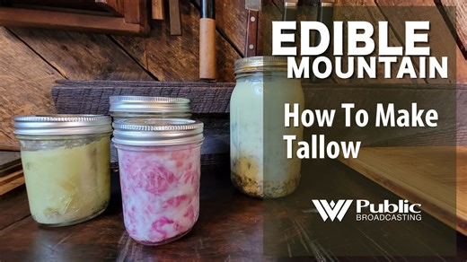 13 shares | Tallow is rendered animal fat and has been used primarily in traditional food preparation — as an ingredient and as a cooking oil. In addition, tallow can be used in making soap, candles, healing salves, skin moisturizers and perfumes, as well as lubricants for wood, leather and metal working. Learn more here: www.wvpublic.org/section/arts-culture/2022-06-30/edible-mountain-how-to-make-tallow | West Virginia Public Broadcasting | Facebook