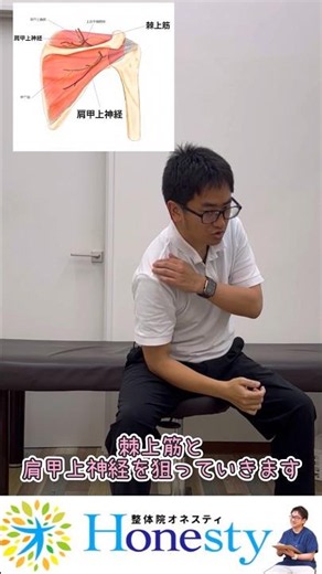 肩が上げにくい？四十肩 五十肩の方のセルフケアに棘上筋のアプローチおすすめです。肩甲上神経の働きも活性化して動きがスムーズになります。