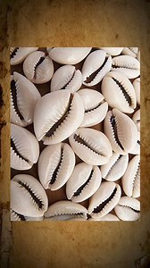 Trading in Calcutta | History Of Bengal | Episode 10 | . . . . . . #infotainmentreels #infotainment #kolkata #kolkatadiaries #kolkataculture #cultureofkolkata #kolkataheritage #heritageofkolkata #reels #reelsinstagram | Samrat Mukherjee