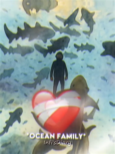 This man caught a smiling shark ❤️ #Heartwarming #story #meltyourheart | Infi's Diary