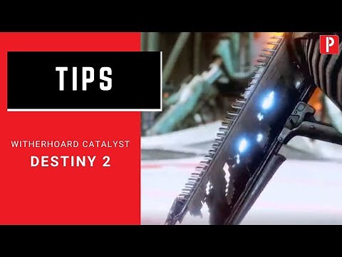 How to Get Witherhoard Catalyst in Destiny 2