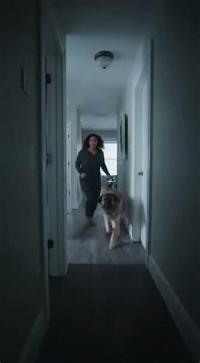 Estrela Mountain Dog: Guardian Angel