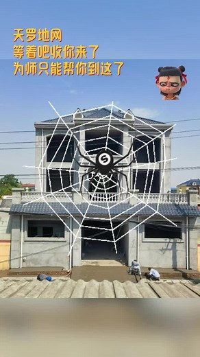 Optimize Your Home Layout for Better Feng Shui