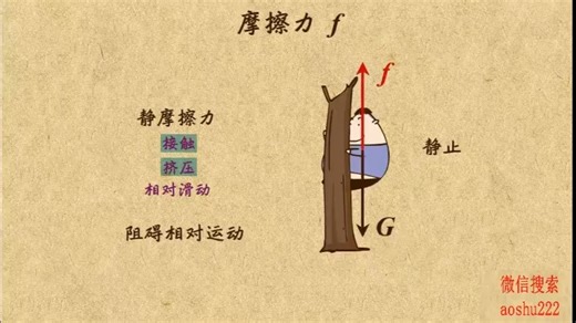 13. 摩擦力及其分类