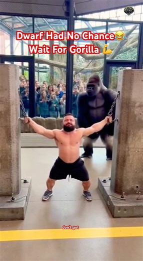 This Gorilla Made the Hercules Hold Look Easy #subscribe #shorts