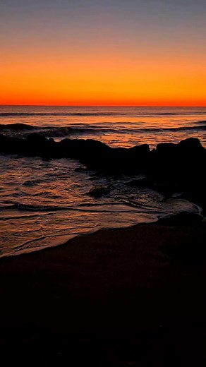 11K views · 1.9K reactions | Blissful Moments  | First Light InSite | Facebook