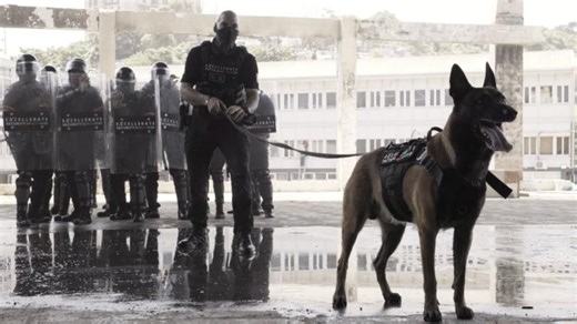 Excellerate s Elite K9 Unit in Action | Excellerate Services