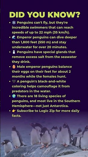6 Penguin Facts That Will Surprise You 🐧