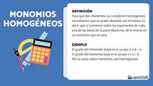 Monomios homogéneos - [con EJEMPLOS y ejercicios resueltos]