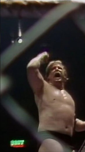 Stan Hansen vs. Bob Backlund (Steel Cage)