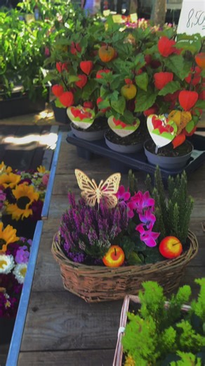 #2025 #goodbye2025 #fyp #tik_tok #frankfurt