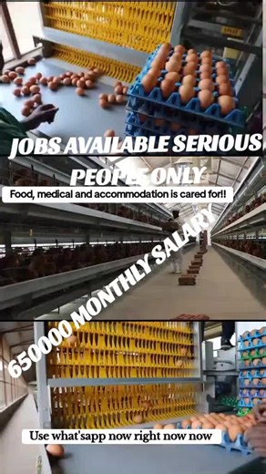 Uganda Jobs Available - 650000 Monthly Salary!