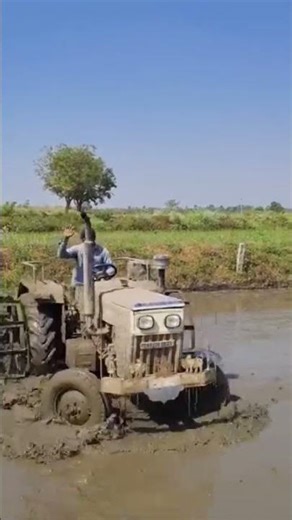 💚🌾🌿🌱🥹🥹