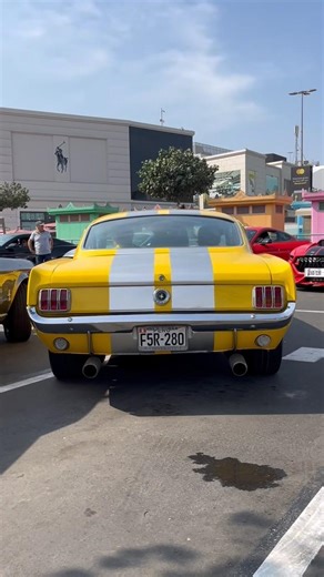 1965 Fastback #mustang #v8 #automobile #classic #fast