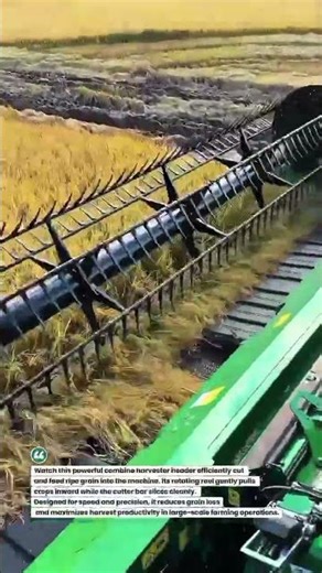 High-Speed Grain Harvesting Header in Action #AgriTech #HarvestSeason #Farming