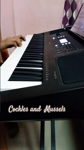 Cockles and Mussels🎹A sweet traditional Irish folk song played on piano.#piano#IrishSong#pianocover